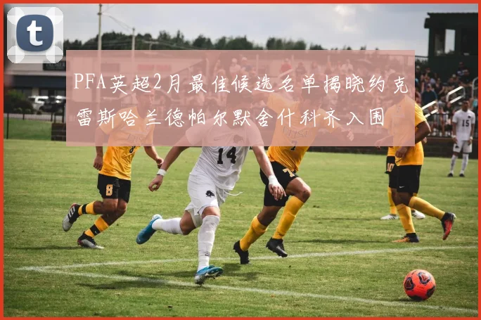 PFA英超2月最佳候选名单揭晓约克雷斯哈兰德帕尔默舍什科齐入围