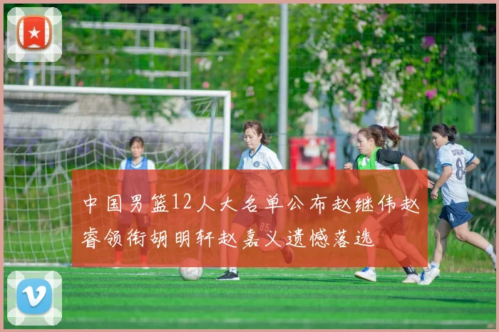 中国男篮12人大名单公布赵继伟赵睿领衔胡明轩赵嘉义遗憾落选